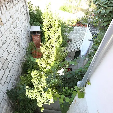 Nikolla * Спліт